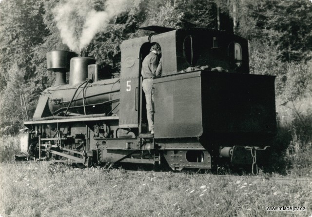 Fotografie A ještě jednou Pětka focená od tendru.