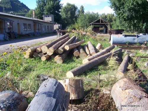 Fotografie Dřevo, které pořežeme na katru, bude použito na výstavbu nové čekárny.
