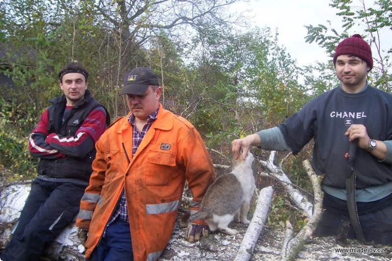 Fotografie Generální ředitel šamotového závodu, kocour Matěj, na kontrolní návštěvě Luďka, Miloše a Radka na pokáceném kmeni sušší z&nbsp;obou bříz. 
