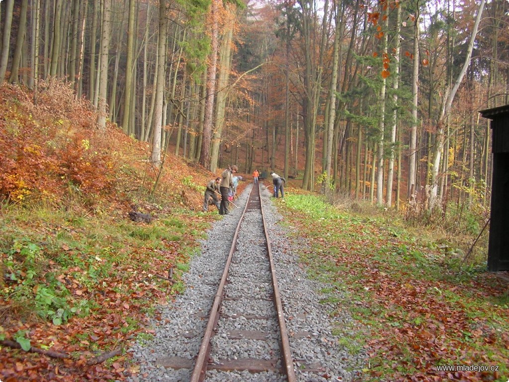 Fotografie Na své si přišli i milovníci zemědělského nářadí, zejména lopat, vidlí a hrábí.