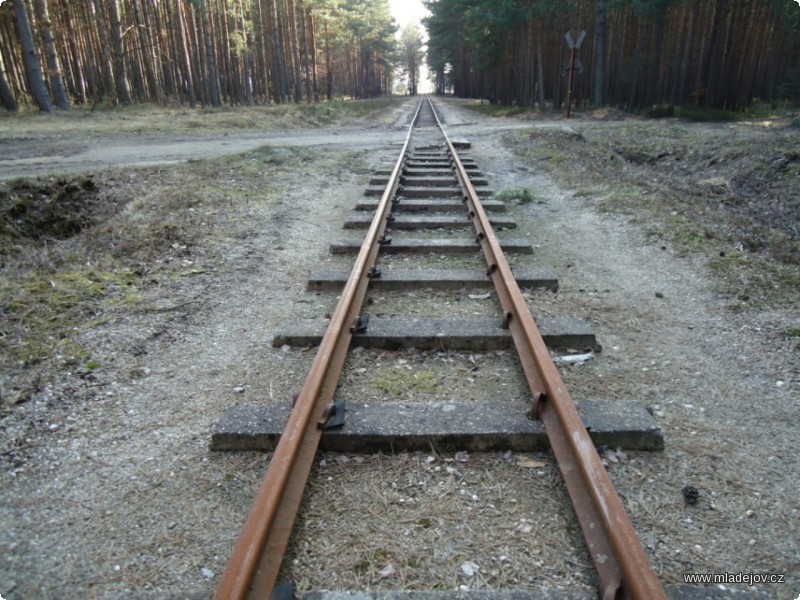 Fotografie V těchto místech by v&nbsp;budoucnu měla trať pokračovat vlevo na novou konečnou Schwerer Berg.
