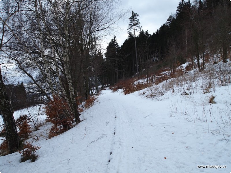 Fotografie Ve stejný čas je však nad Mladějovem na úbočí hřebečského hřbetu pořádná nadílka sněhu, který se v&nbsp;lese udrží dlouho i při teplotách nad nulou.