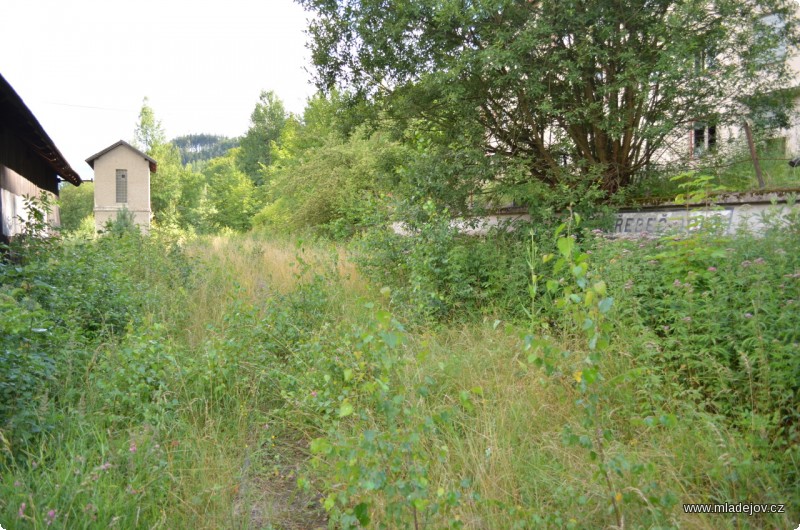 Fotografie Pohled na hřebečské nádraží ještě před odstraněním náletové vegetace. Na toto místo se brzy podíváme znovu, ale o&nbsp;tom zase příště.