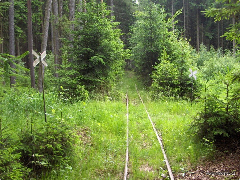 Fotografie Výstražné kříže jsou i na lesních cestách.
