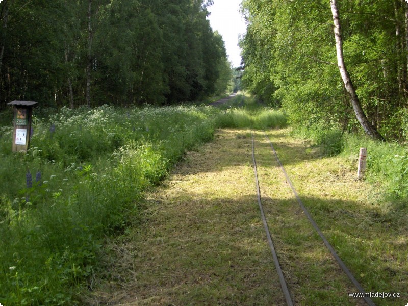 Fotografie Trať vede skrz rezervaci Soos.
