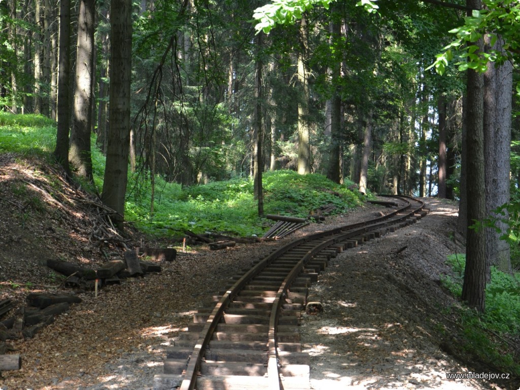 Fotografie Z místa pořízení snímku pokračovala kdysi přímým směrem krátká kolej k&nbsp;nákladišti dolu Barbora III. Stopy v&nbsp;terénu jsou dodnes patrné.