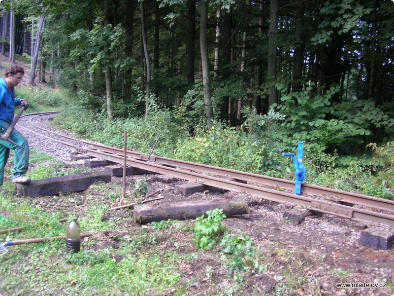 Fotografie Několik kousků zbylo k&nbsp;výměně také v&nbsp;oblouku za Novou Vsí.