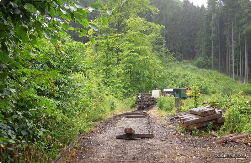 Fotografie Jakmile máme rozebráno a dobagrováno, začínáme stavět. Navazujeme na úsek za Josefkou, jehož oprava proběhla během letní traťové brigády v&nbsp;roce 2012. Nová trať zatím roste nenápadně, ale roste. Kupodivu pravidelné zalévání deštěm její růst neurychluje. Čím to bude?