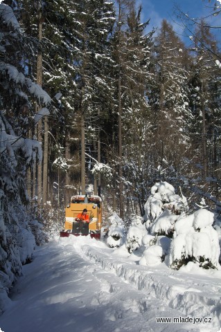 Fotografie V lese je občas sněhu víc než na loukách.