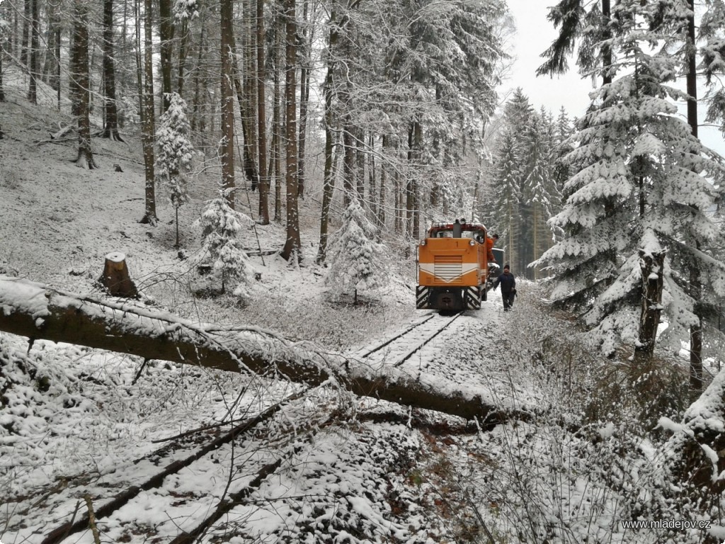 Fotografie Faur před stromkem je už poslední z&nbsp;této fotogenické stojky.