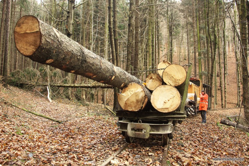 Fotografie Při práci bohužel nebyl čas fotit, ale každá ruka dobrá. Fotka ze zpáteční cesty s&nbsp;lehce překročenou ložnou mírou.