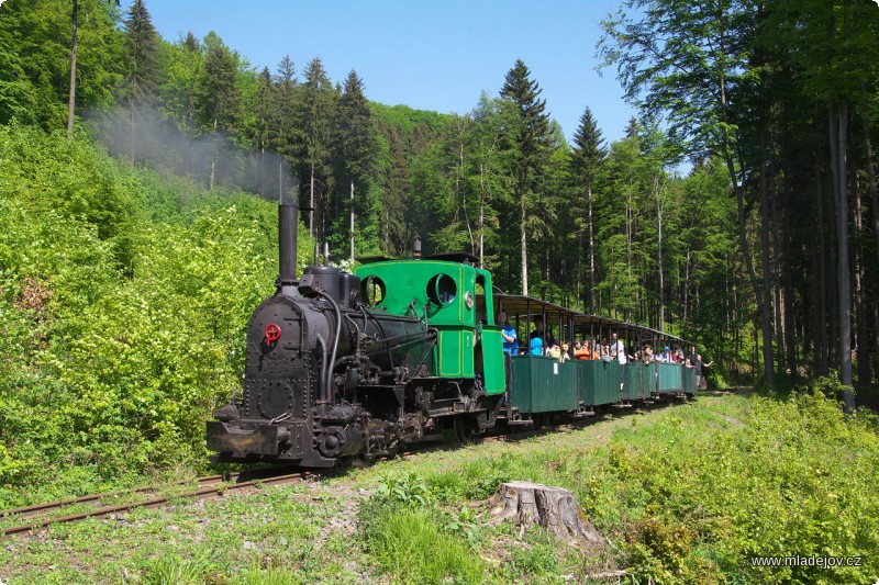 Fotografie Jedna nová mýtina s&nbsp;krásným výhledem vznikla před Udáneckou spojkou.