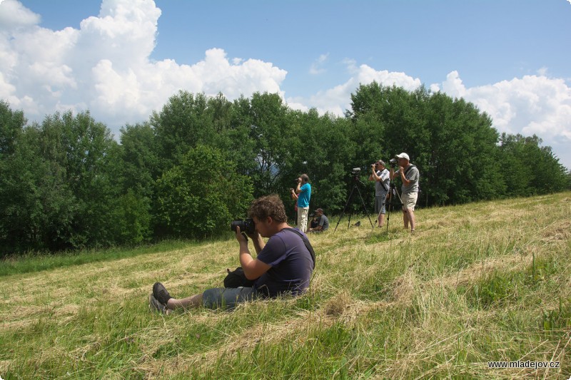 Fotografie Ještěže je louka tak velká.