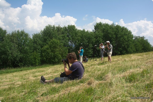 Fotografie Ještěže je louka tak velká.