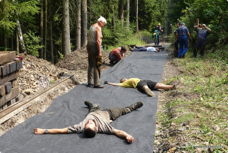 Fotografie Odpolední siesta. Kdo by hned nevyužil čerstvě položené postele uprostřed lesa na krátký šlofík?