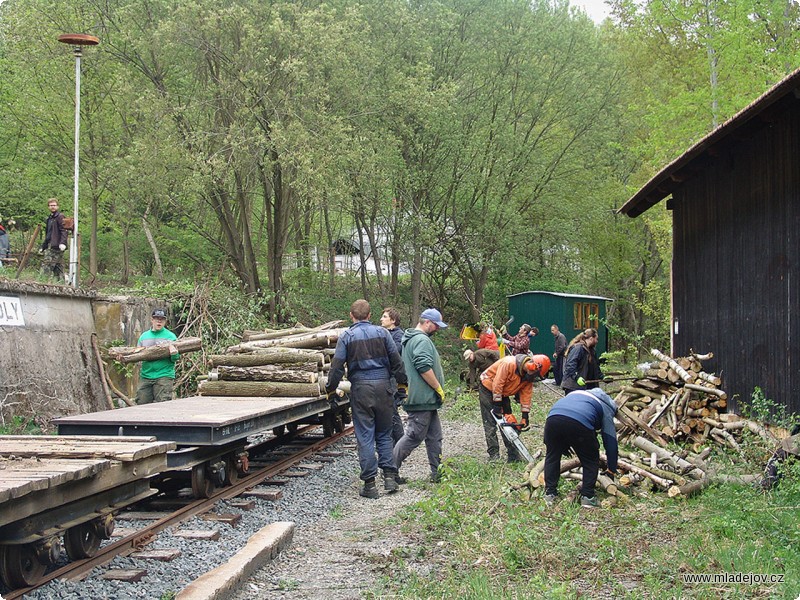 Fotografie Jedna z&nbsp;pracovních skupin se věnovala i vyřezávání náletových dřevin, které se v&nbsp;hřebečském areálu nebývale rozrostly.