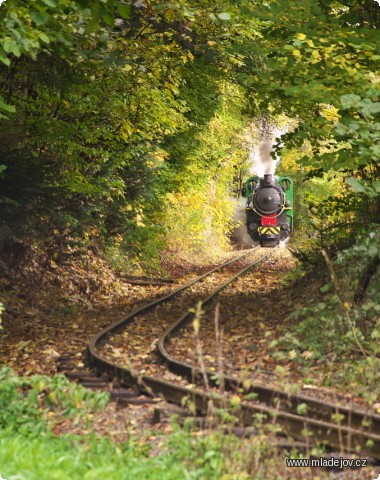 Fotografie Tunel nemáme, ale příroda jej umí stvořit sama.