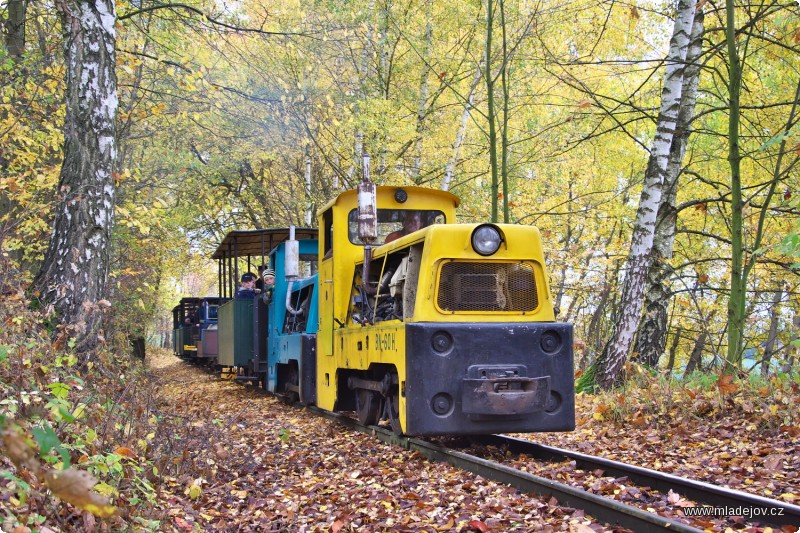 Fotografie Místy jede vlak kvůli nedostatečné adhezi skutečně pomalu.