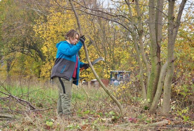 Fotografie Místy je potřeba domluvit vegetaci.