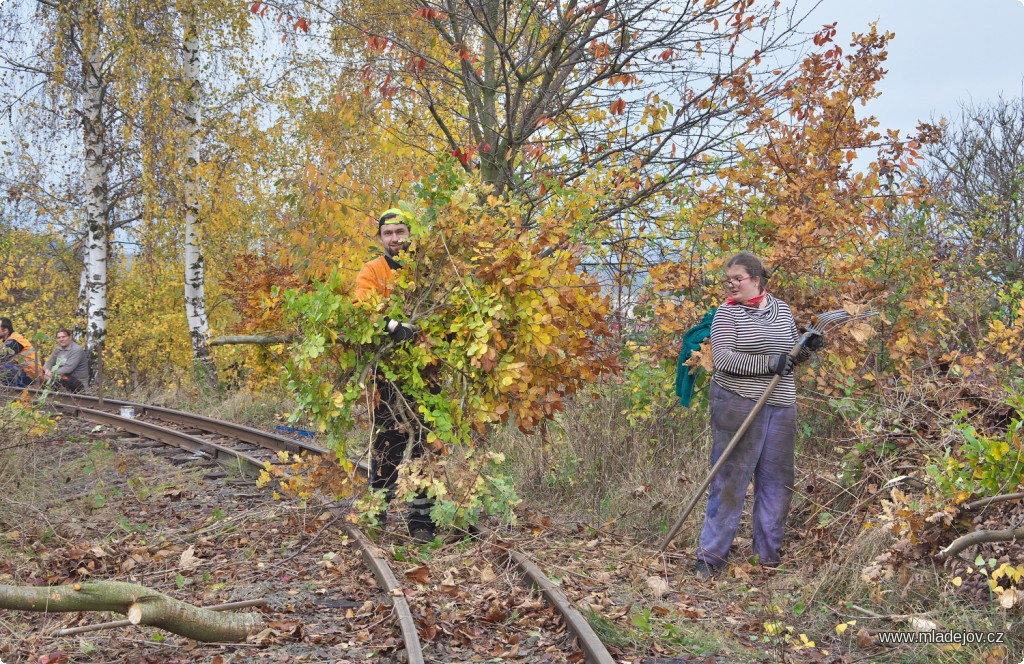 Fotografie Maskovaný nosič.