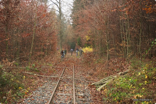 Fotografie Prořezávkou zlepšíme rozhledové poměry na přejezdu se silným provozem lesnické techniky.