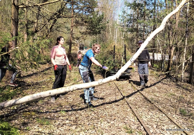 Fotografie Prořezání, vyklízení… a další fáze bude rekonstrukce koleje?