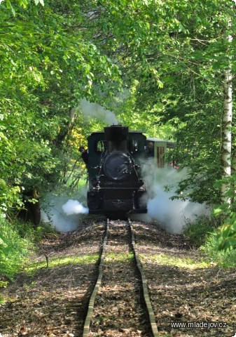 Fotografie Nyní už Pětka supí nad Mladějovem v&nbsp;jarním zeleném tunelu.