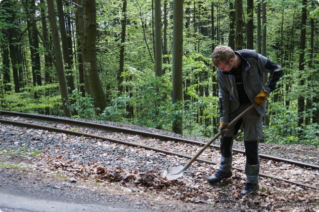 Fotografie V příkopu na druhé straně je pro změnu spousta listí.