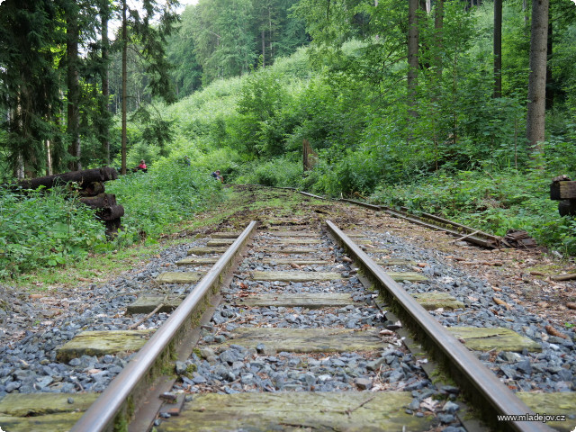 Fotografie Takto to vypadá, když trať opravovaná v&nbsp;roce 2022 znenadání skončí v&nbsp;lese.